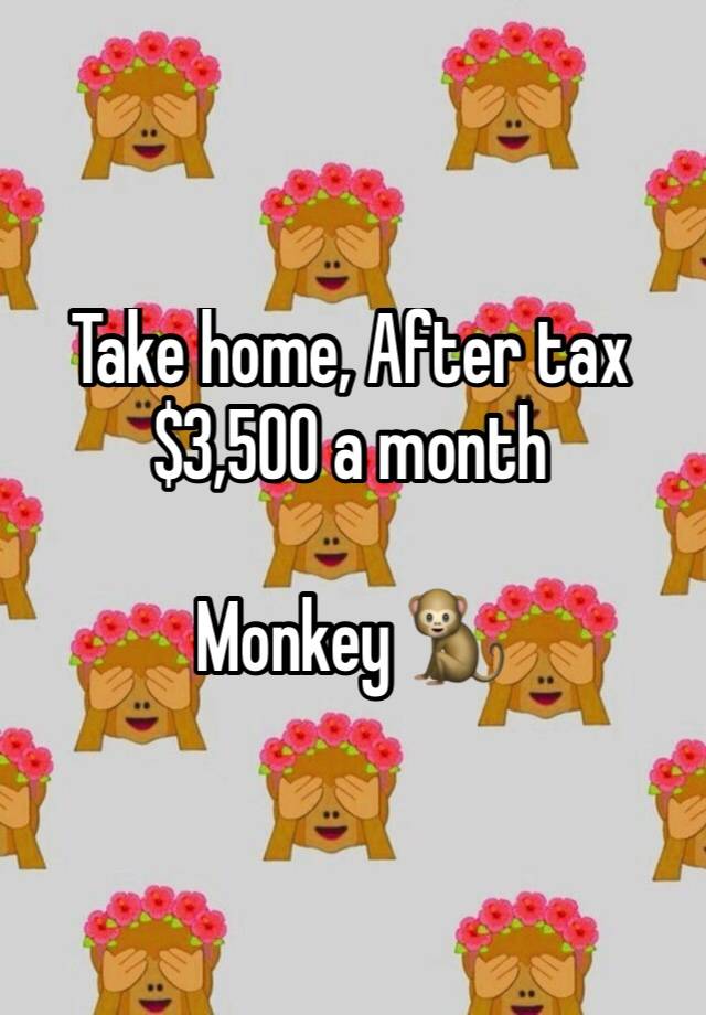 take-home-after-tax-3-500-a-month-monkey