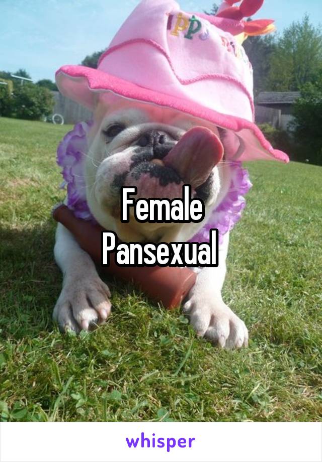 Female
Pansexual 