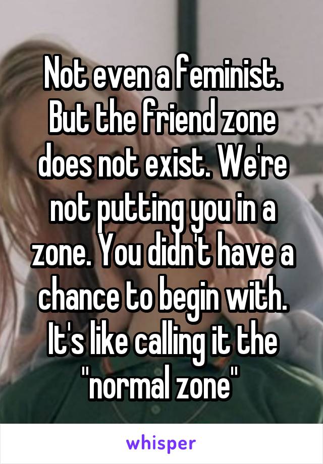 Not even a feminist. But the friend zone does not exist. We're not putting you in a zone. You didn't have a chance to begin with. It's like calling it the "normal zone" 