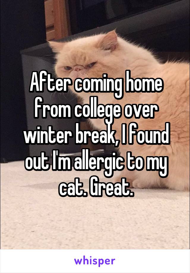 After coming home from college over winter break, I found out I'm allergic to my cat. Great.