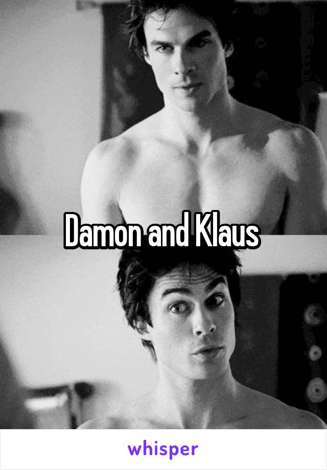 Damon and Klaus 