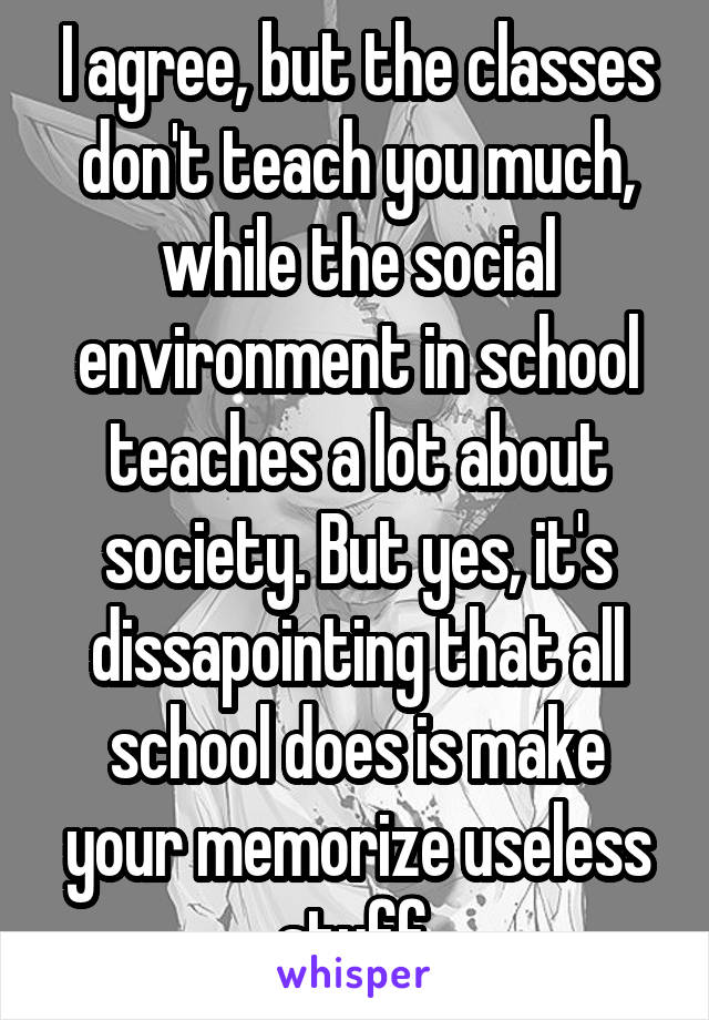 I agree, but the classes don't teach you much, while the social environment in school teaches a lot about society. But yes, it's dissapointing that all school does is make your memorize useless stuff.