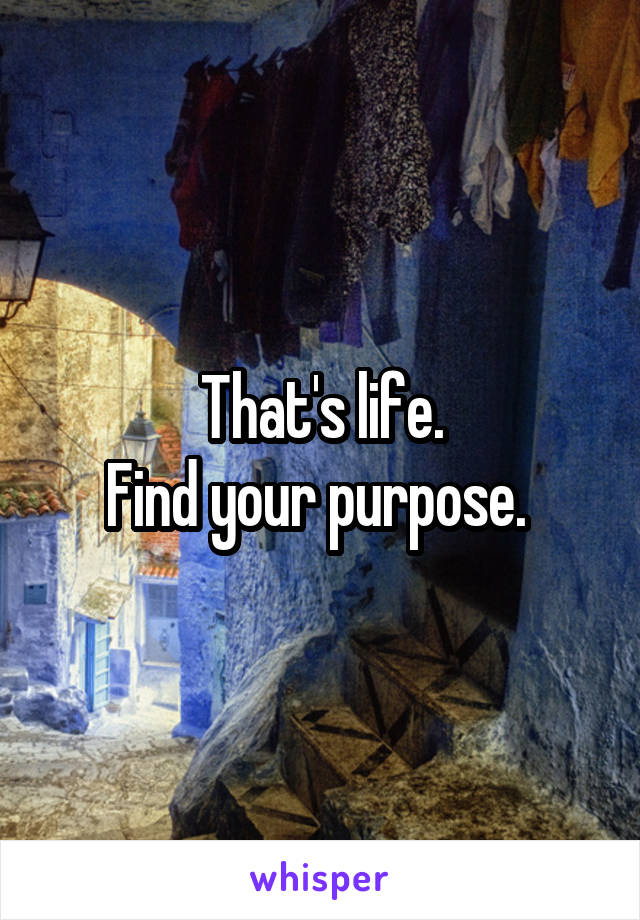 That's life.
Find your purpose. 
