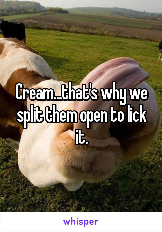 Cream...that's why we split them open to lick it.