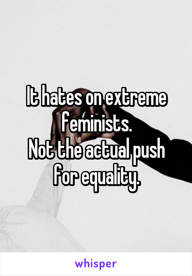 It hates on extreme feminists.
Not the actual push for equality.
