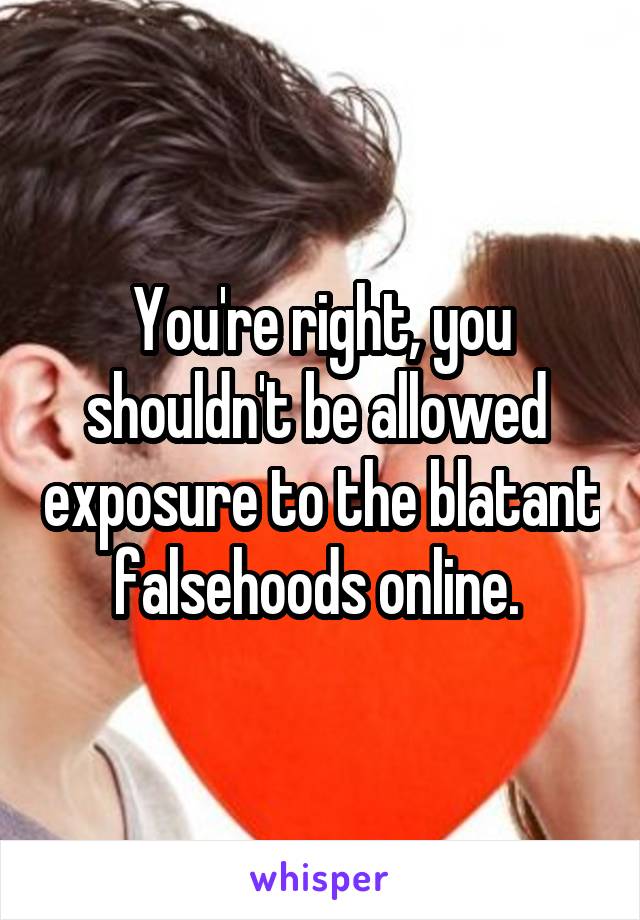 You're right, you shouldn't be allowed  exposure to the blatant falsehoods online. 