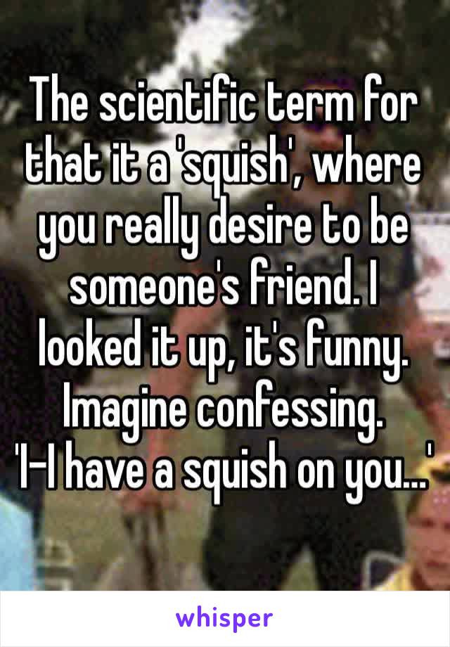 The scientific term for that it a 'squish', where you really desire to be someone's friend. I looked it up, it's funny. Imagine confessing. 
'I-I have a squish on you…'