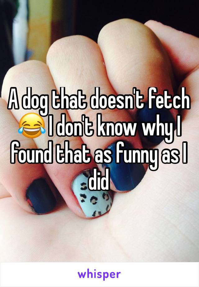 A dog that doesn't fetch 😂 I don't know why I found that as funny as I did 