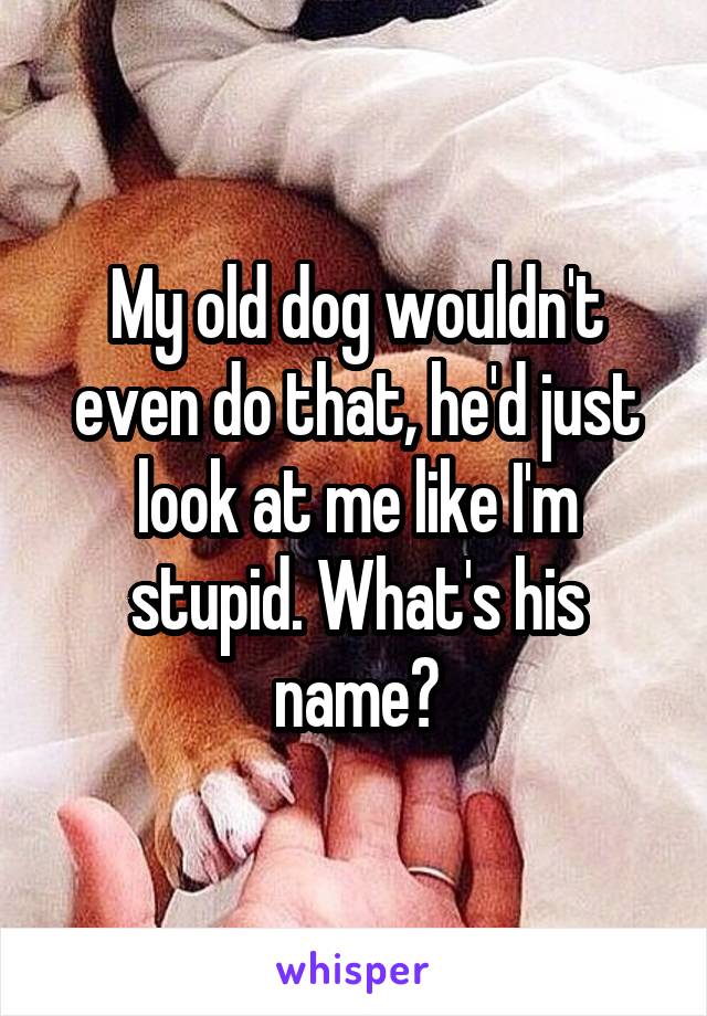 My old dog wouldn't even do that, he'd just look at me like I'm stupid. What's his name?