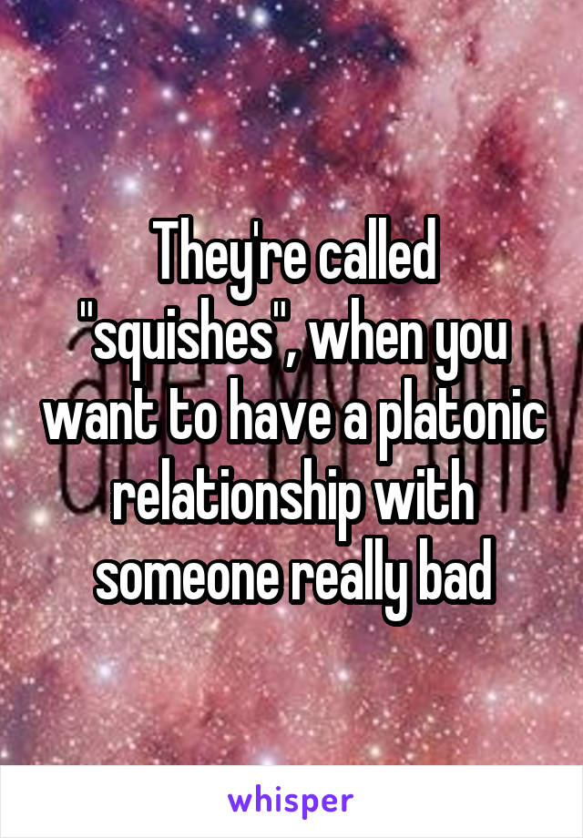 They're called "squishes", when you want to have a platonic relationship with someone really bad