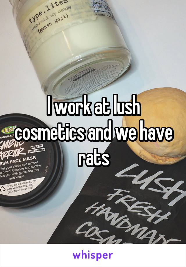 I work at lush cosmetics and we have rats