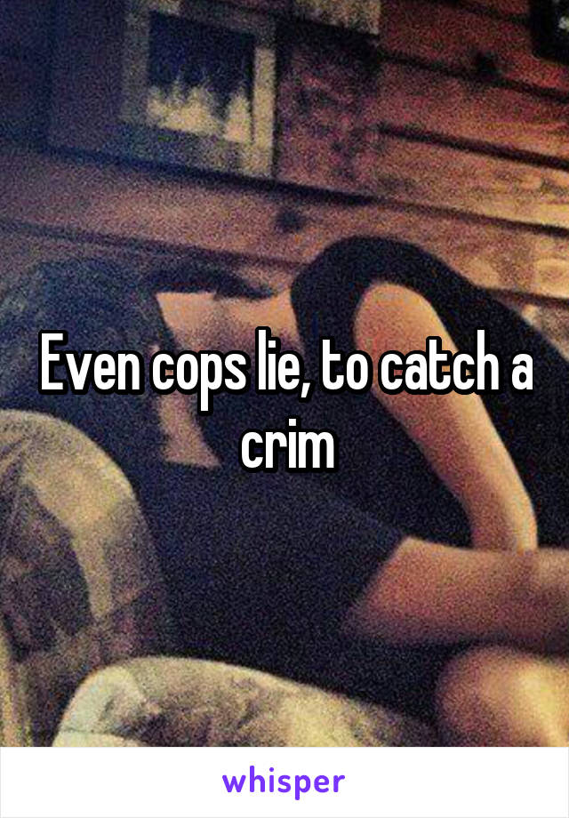 Even cops lie, to catch a crim