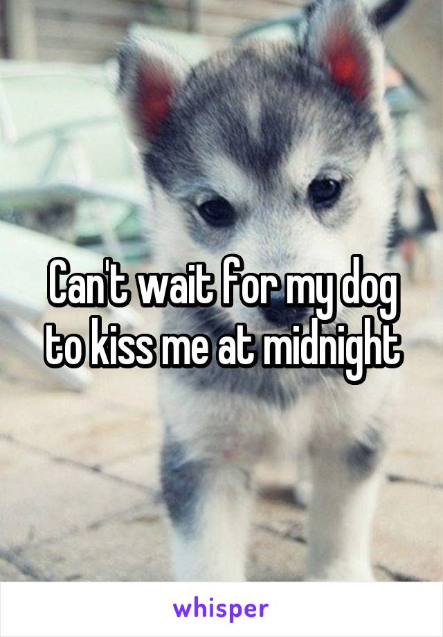 Can't wait for my dog to kiss me at midnight