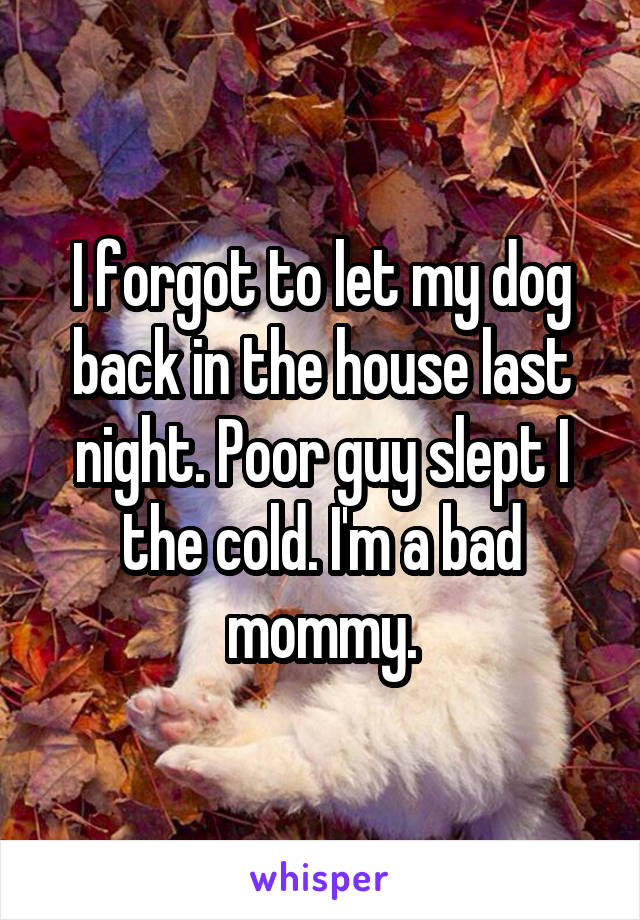 I forgot to let my dog back in the house last night. Poor guy slept I the cold. I'm a bad mommy.