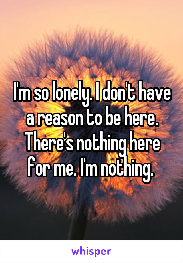 I'm so lonely. I don't have a reason to be here. There's nothing here for me. I'm nothing. 