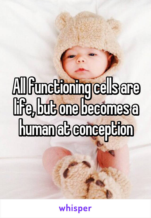 All functioning cells are life, but one becomes a human at conception