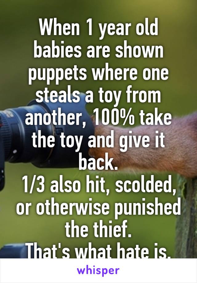 When 1 year old babies are shown puppets where one steals a toy from another, 100% take the toy and give it back.
1/3 also hit, scolded, or otherwise punished the thief.
That's what hate is.