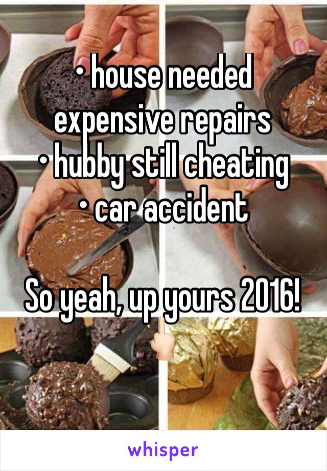 • house needed expensive repairs 
• hubby still cheating
• car accident 

So yeah, up yours 2016!
🖕🏻
