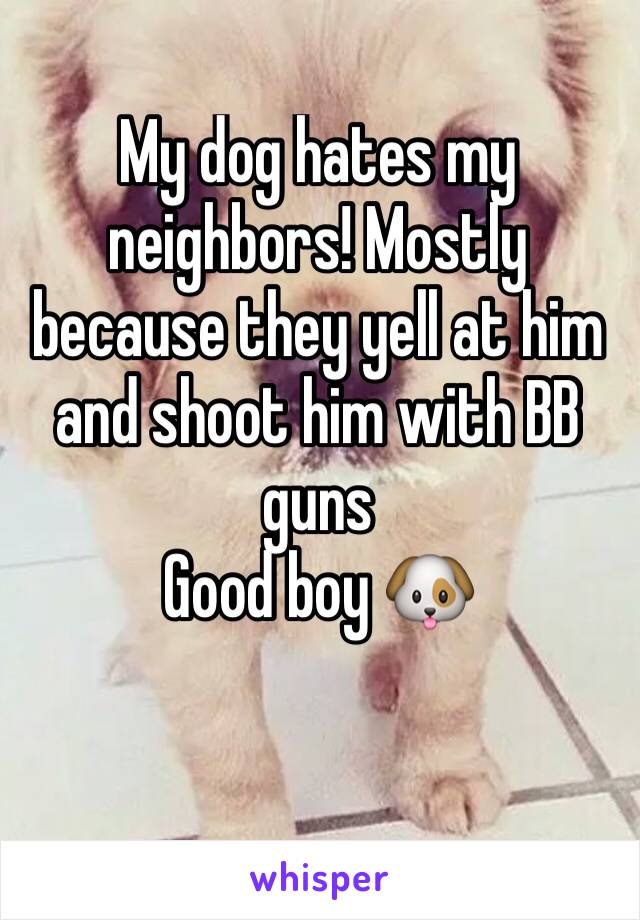 My dog hates my neighbors! Mostly because they yell at him and shoot him with BB guns
Good boy 🐶