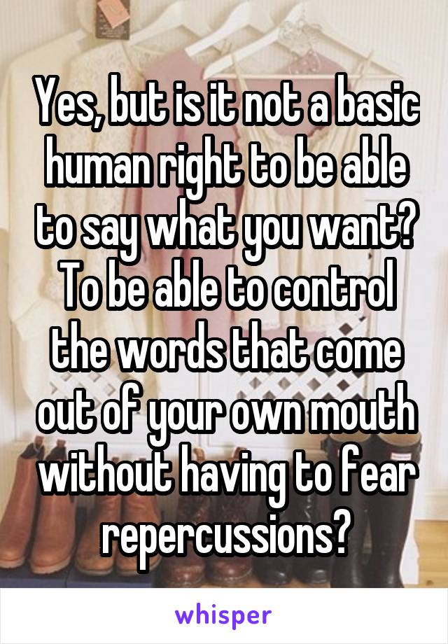 Yes, but is it not a basic human right to be able to say what you want? To be able to control the words that come out of your own mouth without having to fear repercussions?