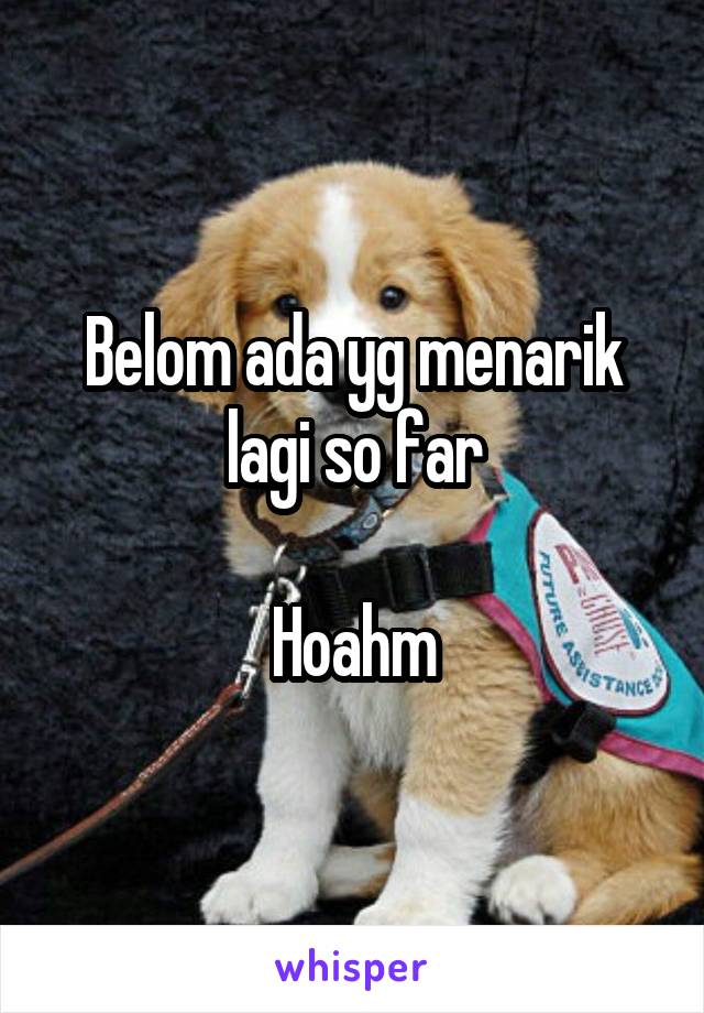 Belom ada yg menarik lagi so far

Hoahm