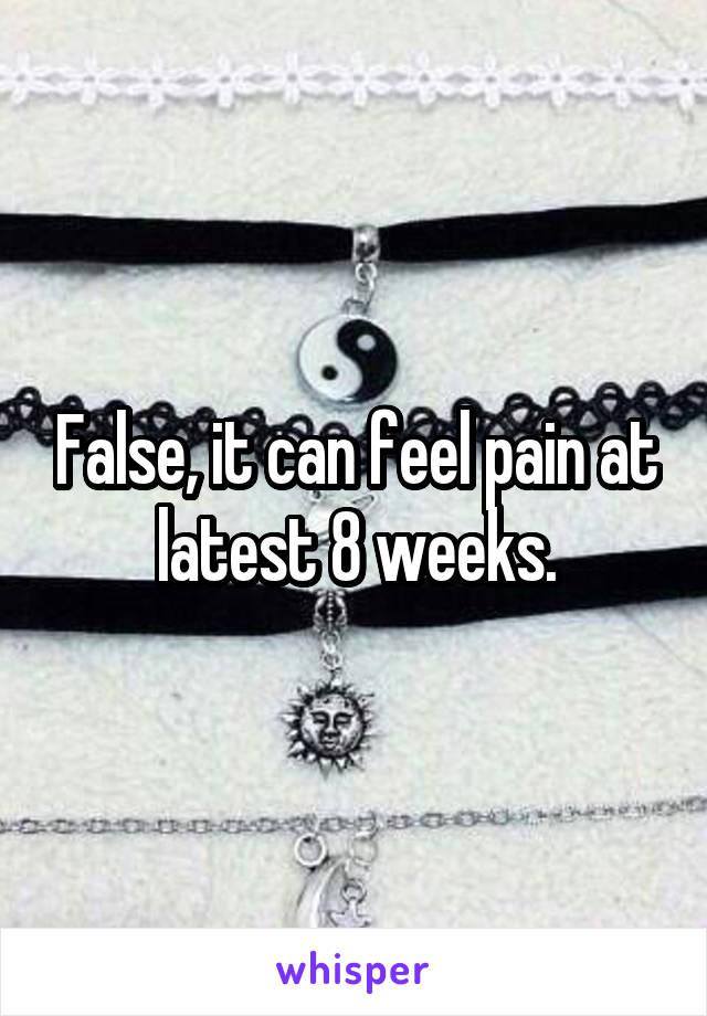 False, it can feel pain at latest 8 weeks.