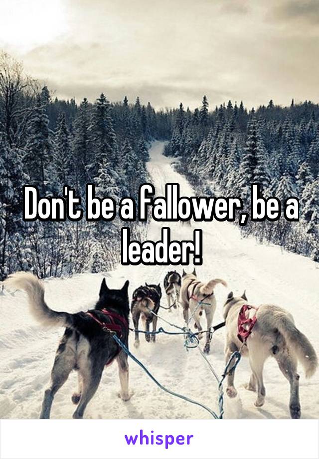 Don't be a fallower, be a leader!