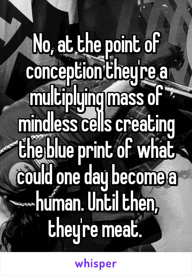 No, at the point of conception they're a multiplying mass of mindless cells creating the blue print of what could one day become a human. Until then, they're meat. 