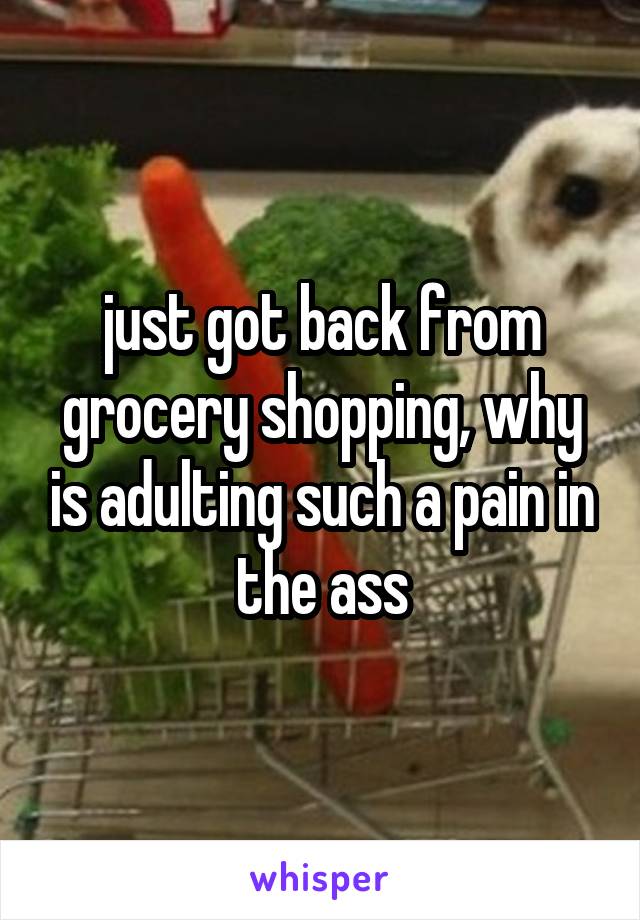 just got back from grocery shopping, why is adulting such a pain in the ass