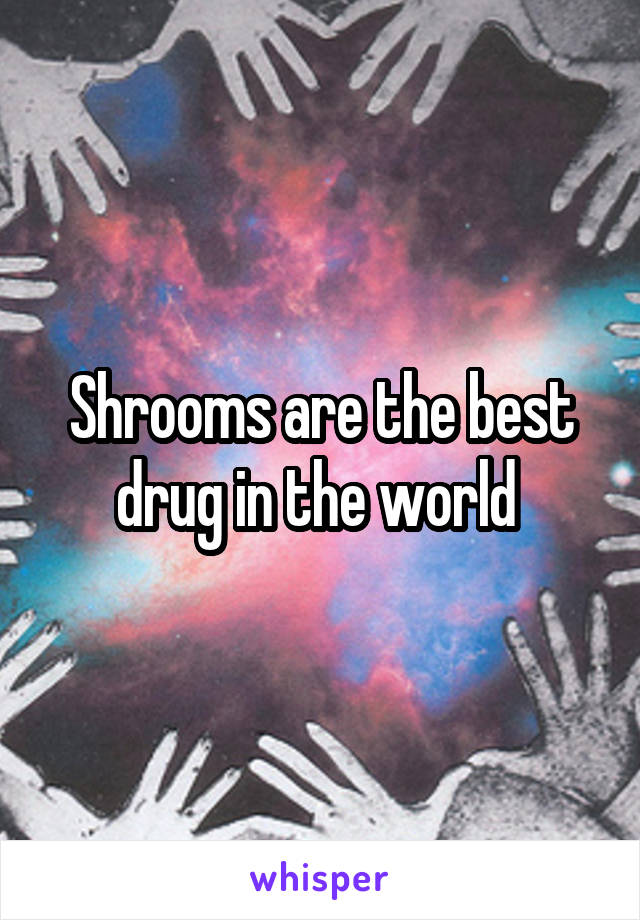 Shrooms are the best drug in the world 