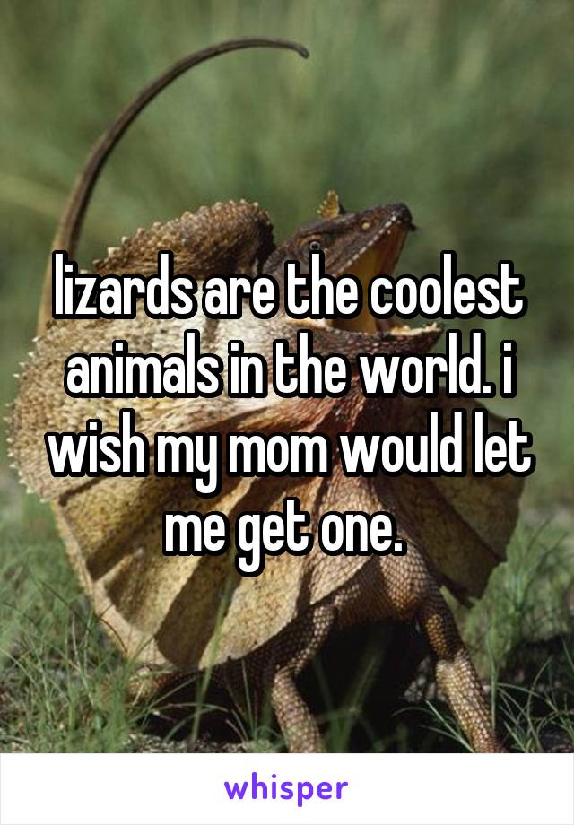 lizards are the coolest animals in the world. i wish my mom would let me get one. 