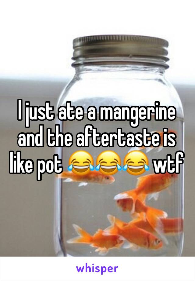 I just ate a mangerine and the aftertaste is like pot 😂😂😂 wtf