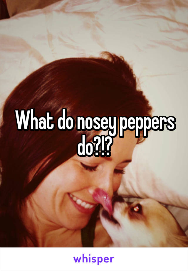 What do nosey peppers do?!?