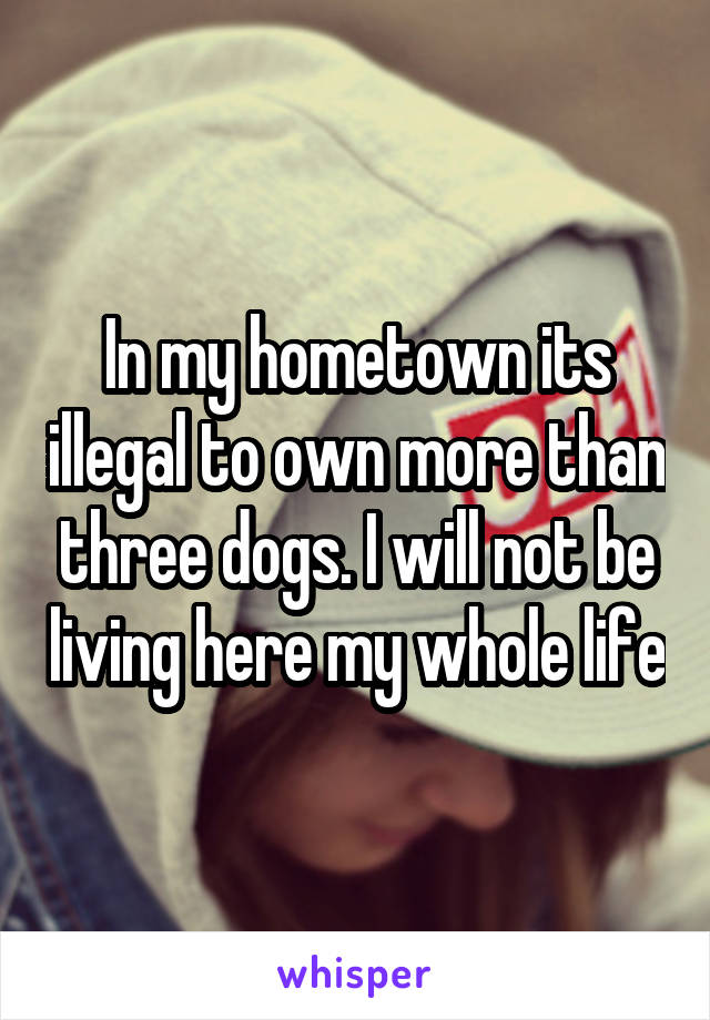 In my hometown its illegal to own more than three dogs. I will not be living here my whole life