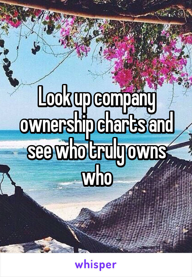 Look up company ownership charts and see who truly owns who