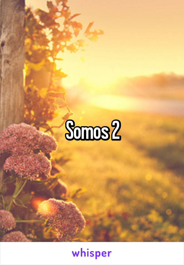 Somos 2