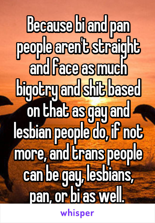 Because bi and pan people aren't straight and face as much bigotry and shit based on that as gay and lesbian people do, if not more, and trans people can be gay, lesbians, pan, or bi as well. 
