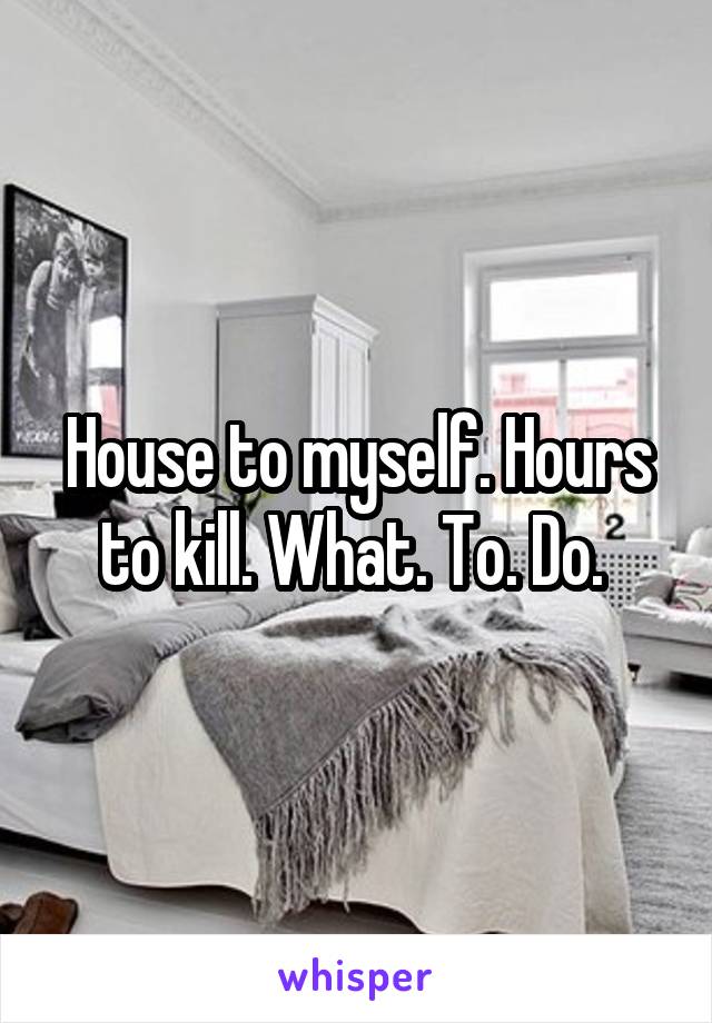 House to myself. Hours to kill. What. To. Do. 