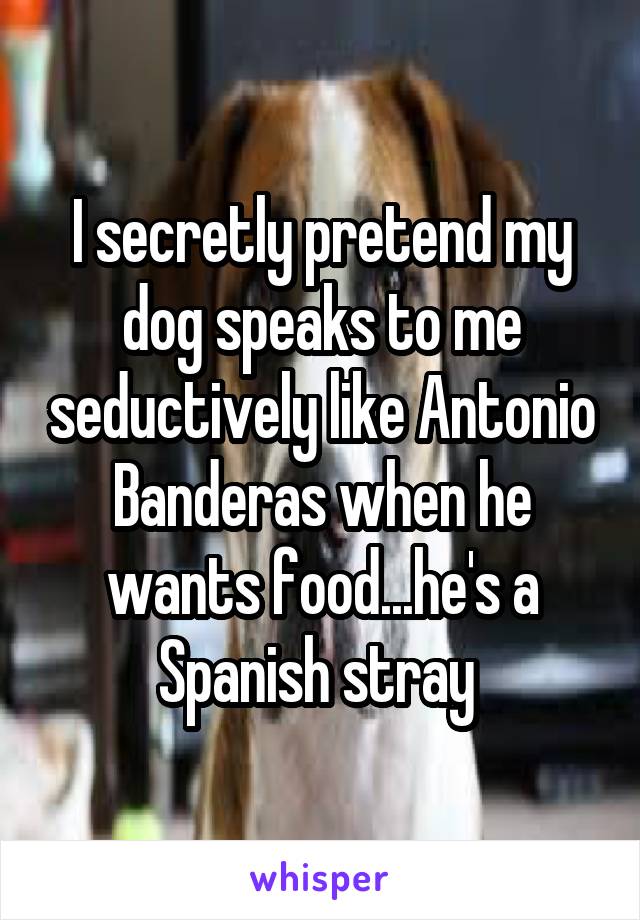 I secretly pretend my dog speaks to me seductively like Antonio Banderas when he wants food...he's a Spanish stray 