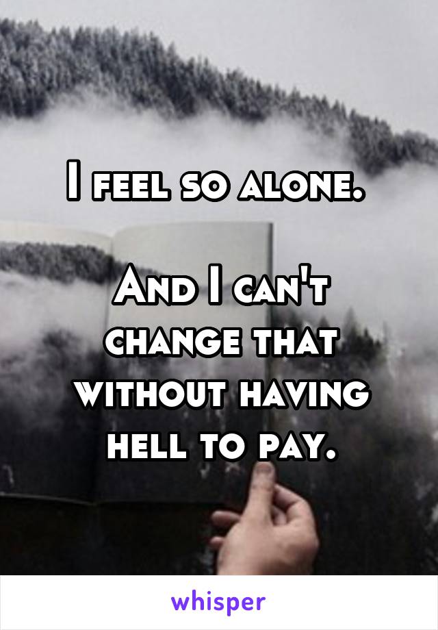 I feel so alone. 

And I can't change that without having hell to pay.