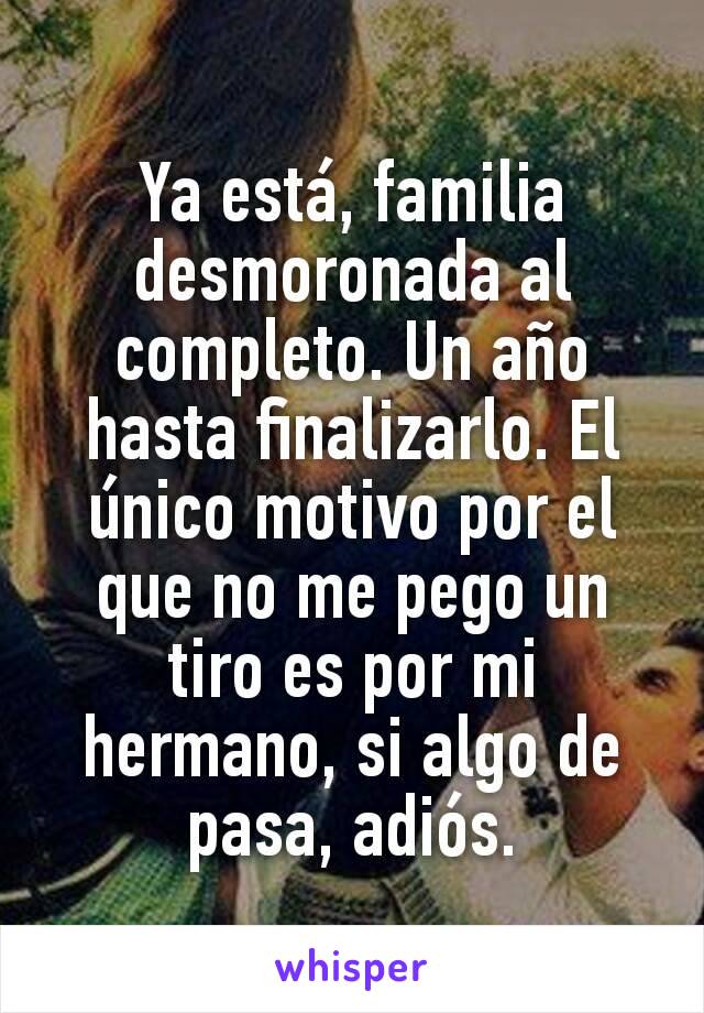 Ya está, familia desmoronada al completo. Un año hasta finalizarlo. El único motivo por el que no me pego un tiro es por mi hermano, si algo de pasa, adiós.