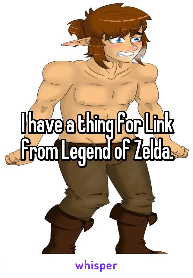 I have a thing for Link from Legend of Zelda.