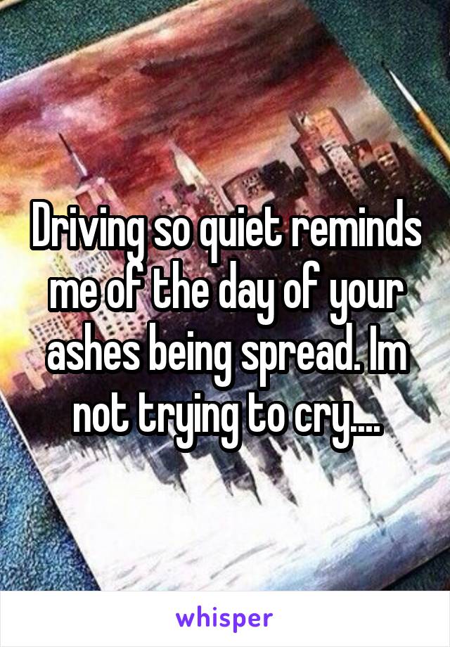 Driving so quiet reminds me of the day of your ashes being spread. Im not trying to cry....