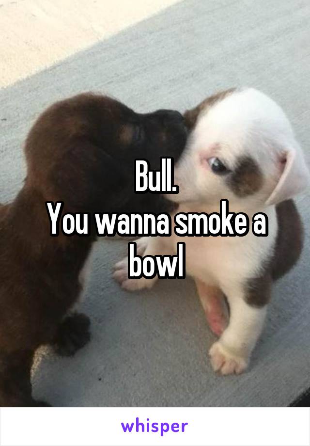 Bull.
You wanna smoke a bowl