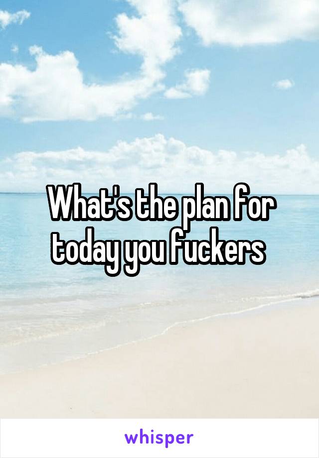 What's the plan for today you fuckers 