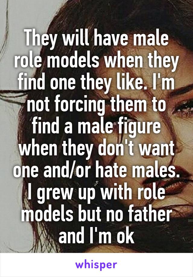 They will have male role models when they find one they like. I'm not forcing them to find a male figure when they don't want one and/or hate males. I grew up with role models but no father and I'm ok