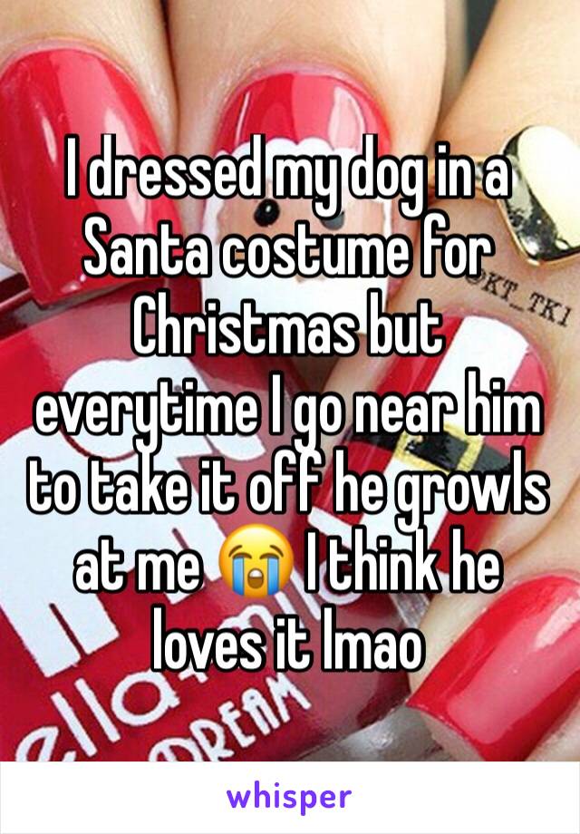 I dressed my dog in a Santa costume for Christmas but everytime I go near him to take it off he growls at me 😭 I think he loves it lmao