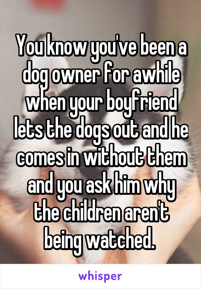 You know you've been a dog owner for awhile when your boyfriend lets the dogs out and he comes in without them and you ask him why the children aren't being watched. 