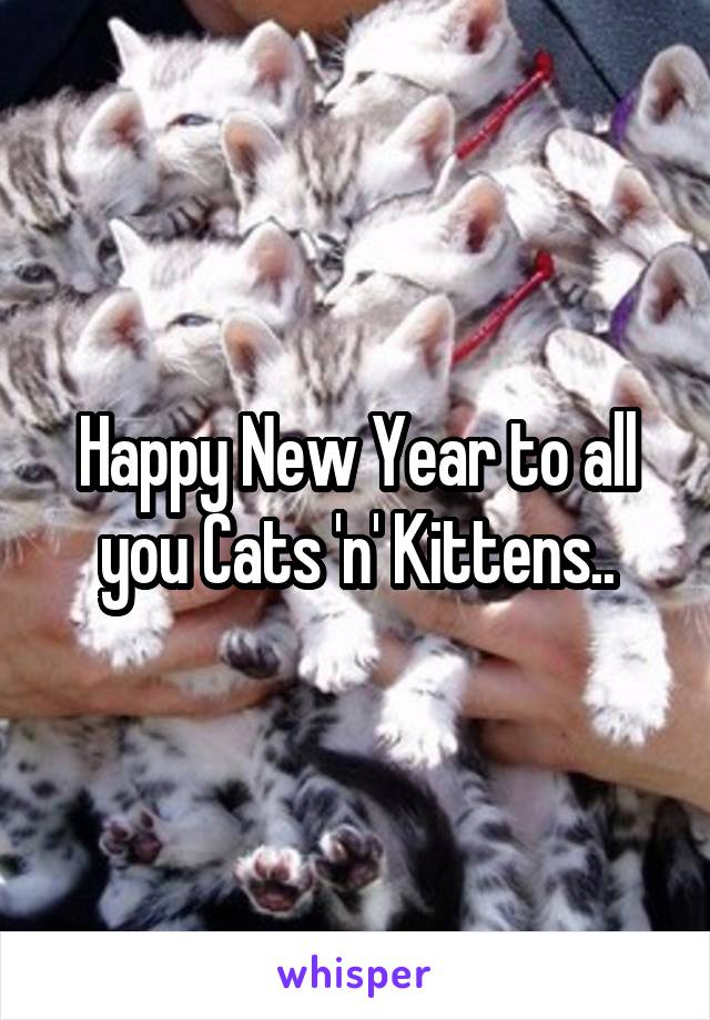 Happy New Year to all you Cats 'n' Kittens..