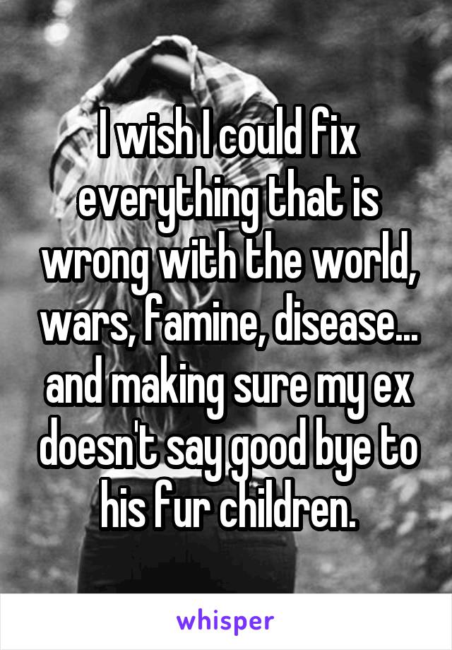 I wish I could fix everything that is wrong with the world, wars, famine, disease... and making sure my ex doesn't say good bye to his fur children.